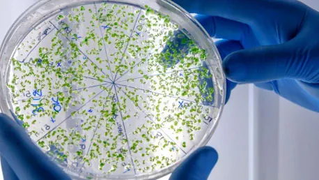 Microbial Cell Factories Revolutionize Strigolactone Production for Agriculture