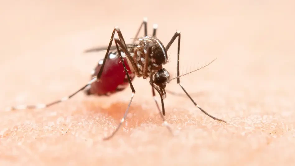 Promising Malaria Research: Healing the Cause, Not the Outcome