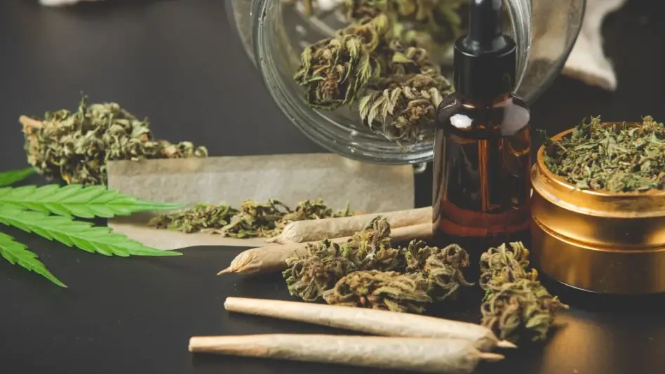 Trump Pushes Marijuana Reform, DEA Attorney Under Fire